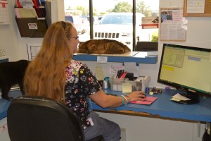Tulsa Paw Prints Ltd Veterinary Hospital