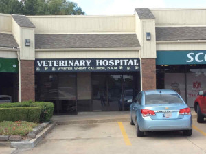 Tulsa Paw Prints Ltd Veterinary Hospital