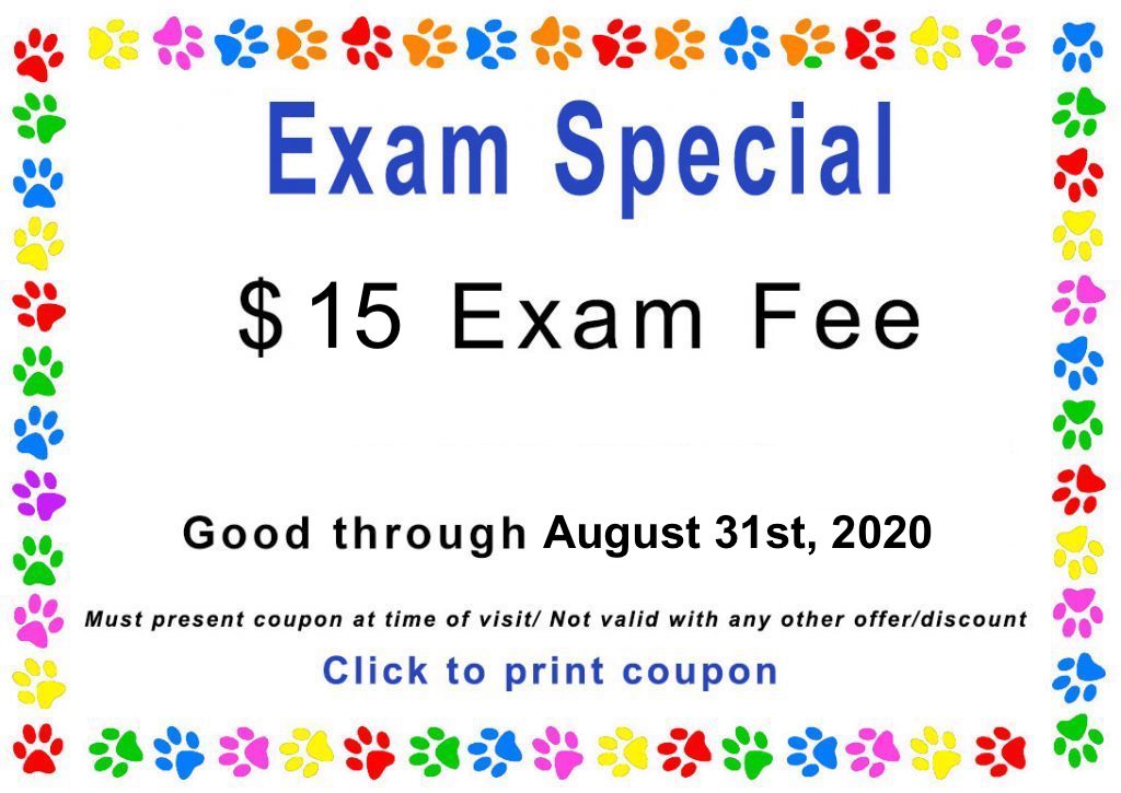 Tulsa Veterinary Coupons Paw Prints Ltd 9182500883