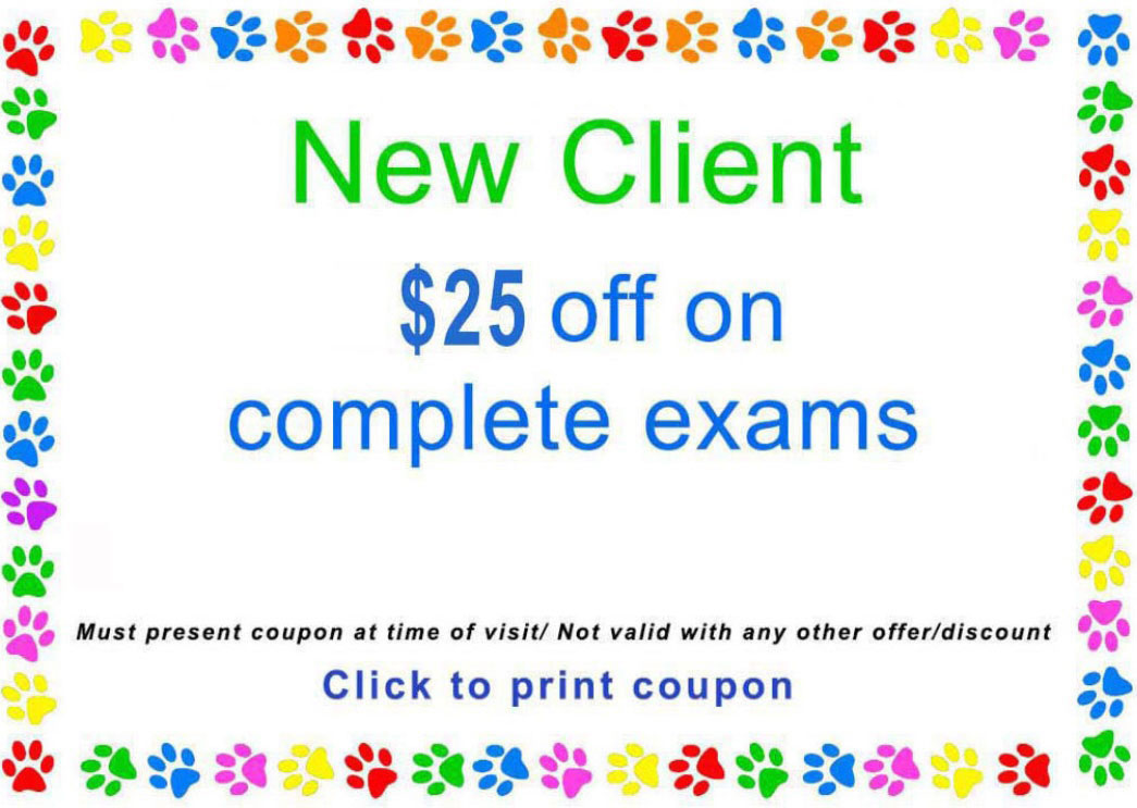 New-client