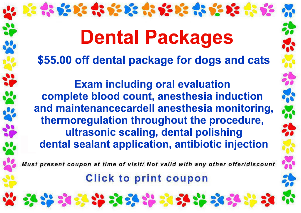 Paw-Prints-feb2Coupon- New-client